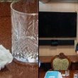Елисейският дворец проговори за слуховете, че Макрон носил кокаин