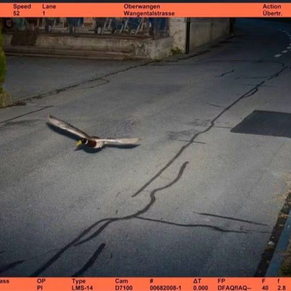 Служителите на полицейското управление в Кемниц Германия останали изненадани когато