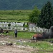 Каруца, пушек и гробища: подпалиха уред, черен дим се издигна към Асеновград СНИМКИ