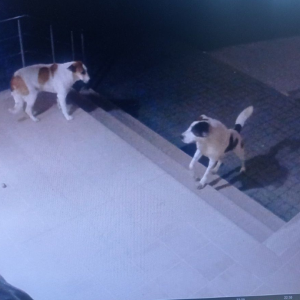 Студентските общежития на Пловдивския университет Паисий Хилендарски намиращи се на