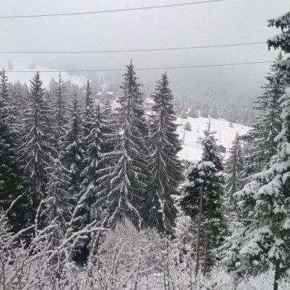 След като вчера снежинки паднаха в части от Роподите и