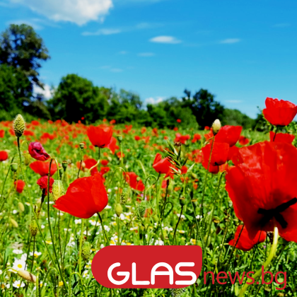 Днес над по голямата част от страната ще преобладава слънчево време