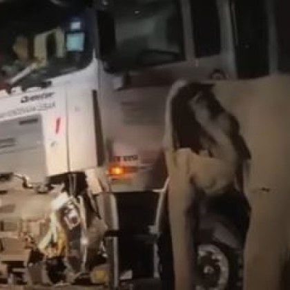 Кратко видео заснето на 11 май рано сутринта показва майка