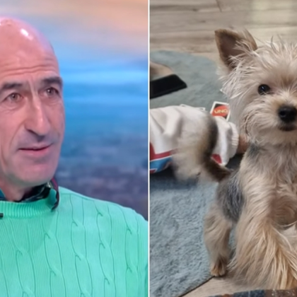 Сигнал за кървав инцидент с домашно куче в Сливен беше разпространен