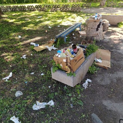 На грозна гледка попадна столичанин из зелените площи на софийския