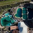 Изоставиха 2 косатки и 12 делфина в затворен воден парк ВИДЕО