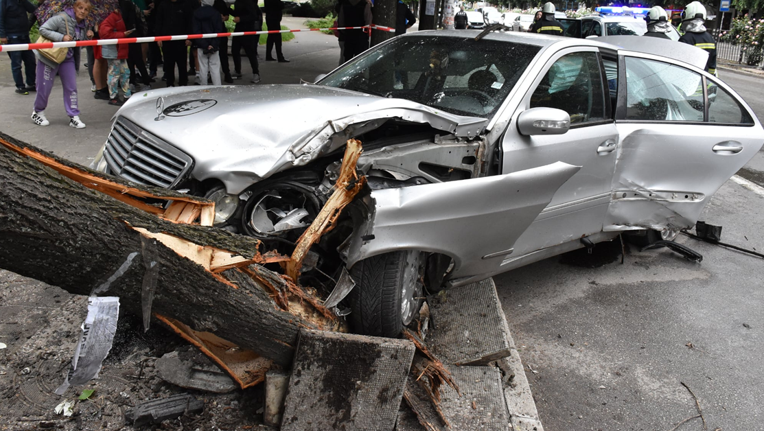 Кола се удари в дърво и го събори върху автобусна спирка в Хасково