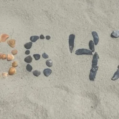 Теория на конспирацията която циркулира в крайнодесни среди твърди че