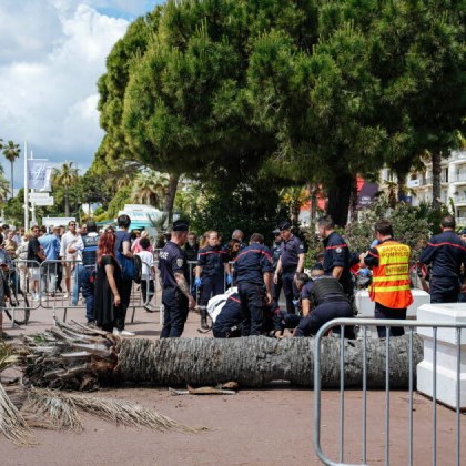 Агентът на актьор в японския филм Brand New Landscape е