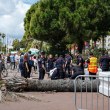 3-метрова палма падна върху звезден агент на фестивала в Кан, в болница е СНИМКИ