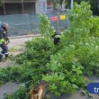 Клон се срути върху движещ се автомобил СНИМКИ и ВИДЕО