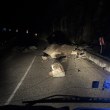 Скала се стовари на път до Чепеларе СНИМКА