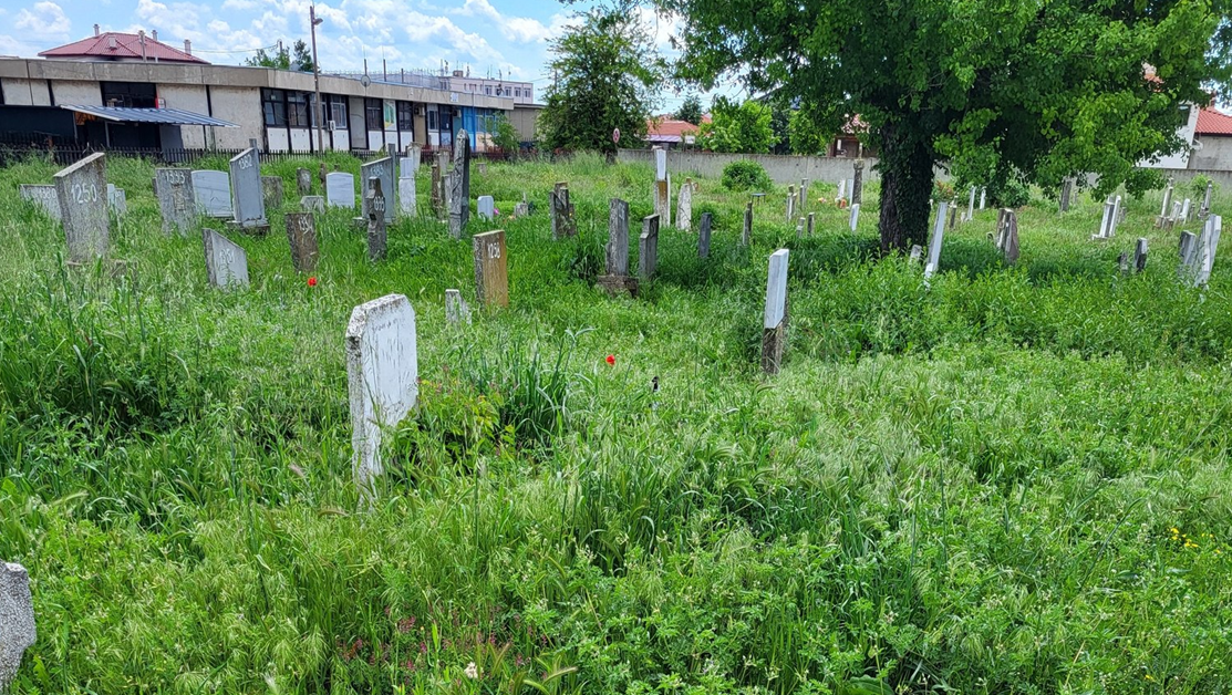 Грозна гледка! Гробищният парк в Нова Загора тъне в бурени СНИМКИ