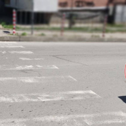 Внимание Тази статия описва инцидент с починало животно Възможно е