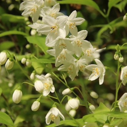 Тази седмица ни очаква типично майско време – сутрин много