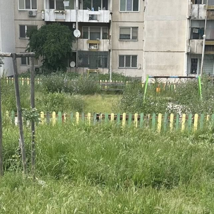 Снимки от обрасли междублокови пространства в квартал Запад в Асеновград