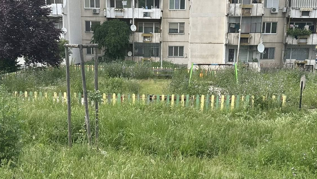 В Асеновград косачките мълчат, а бурените растат СНИМКИ