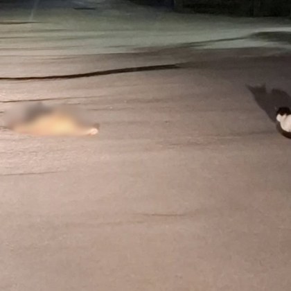 Гледка стъписа мъж в търновския квартал Пишмана каза той самият