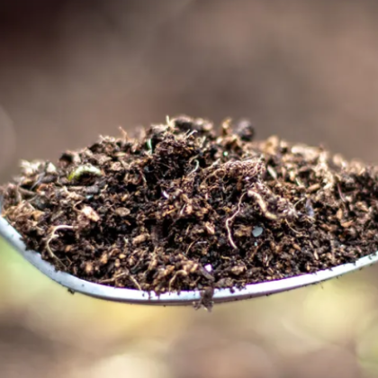 За повечето от нас да ядеш пръст е по скоро метафора