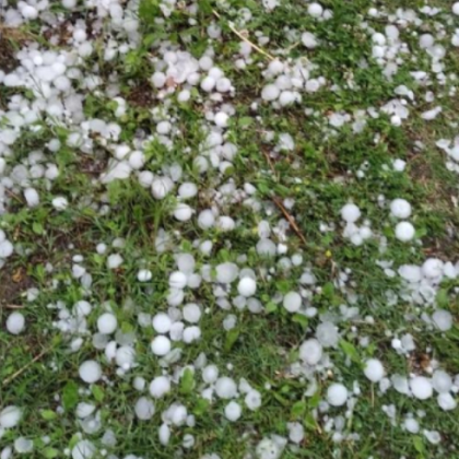 Градушка като орех се изсипа над няколко севлиевски села вчера