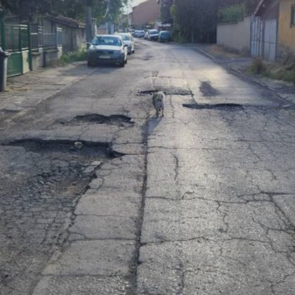 Лошото състояние на пътищата в страната отдавна е източник на