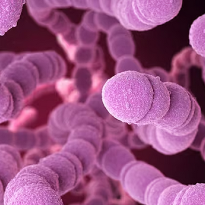 Затвориха училища в Солун след няколко случая на заразени деца