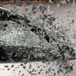Сблъскаха се камион и автобус, пострадаха 17 души