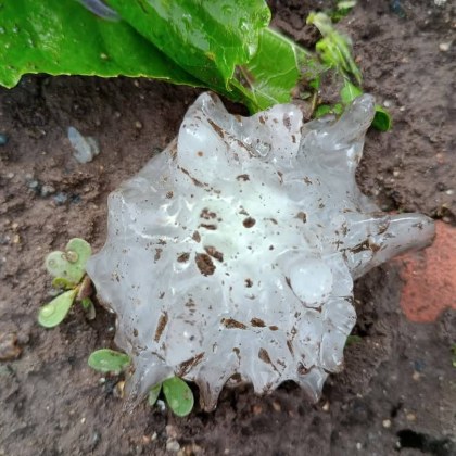 Три села в област Ямбол са пострадали от падналата градушка