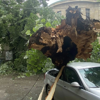 Огромно дърво падна върху кола паркирана зад Съдебната палата в