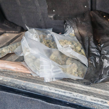 Близо килограм марихуана заловиха старозагорски криминалисти съобщиха от пресцентъра на