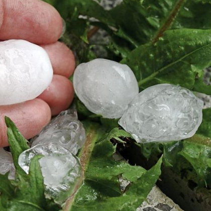 Ще направим всичко възможно парите бързо да достигнат до пострадалите от