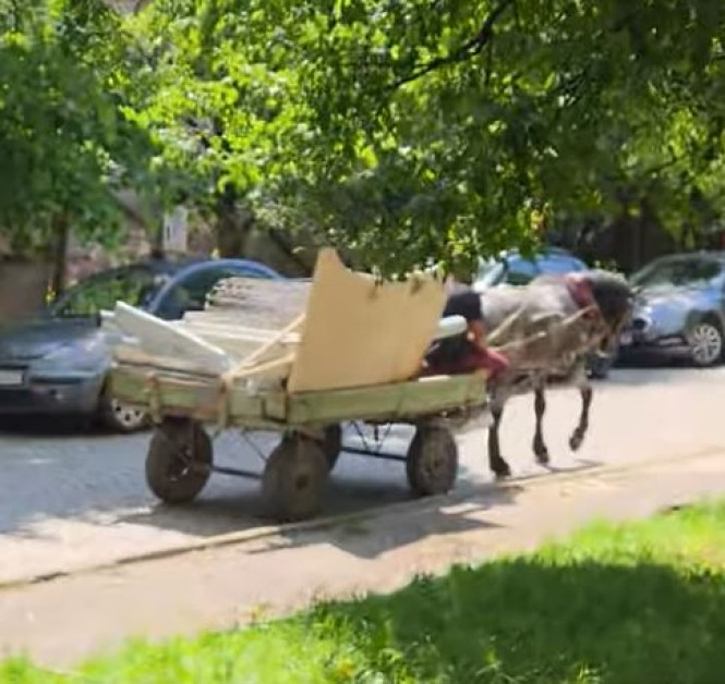 Докога! Натоварени каруци обикалят по паветата на София СНИМКИ