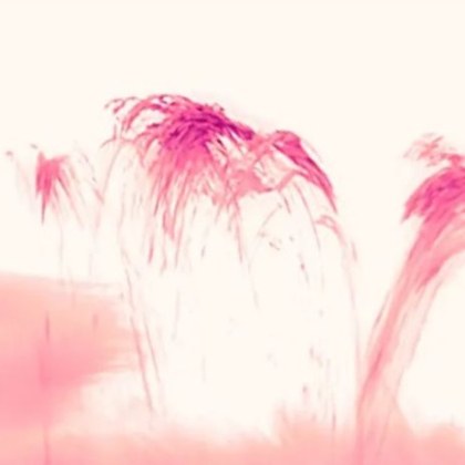 Впечатляващи изображения на Слънцето бяха заснети от Слънчевата обсерватория Big