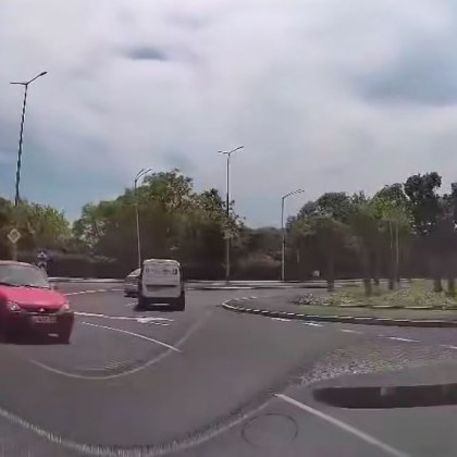 Изненадваща среща сполетя водач в кръгово кръстовище в Бургас Шофьорът