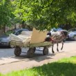 Докога! Натоварени каруци обикалят по паветата на София СНИМКИ