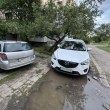 Люлински епос: „Аз съм по-голям от всички