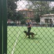 Униформени и кучето Грек гостуваха на ученици в Пазарджик СНИМКА