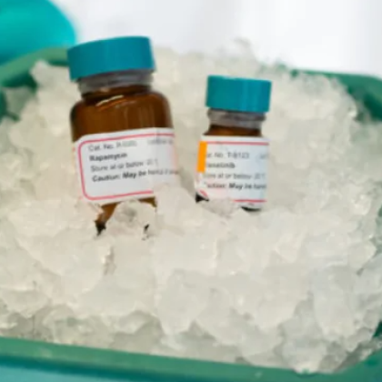 В Европа учени са тествали коктейл против стареене върху мишки