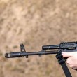 Скандал в Деня на детето: стрелба по корморани пред малчугани в парк