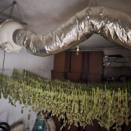 Под ръководството на Окръжна прокуратура – Благоевград се води разследване