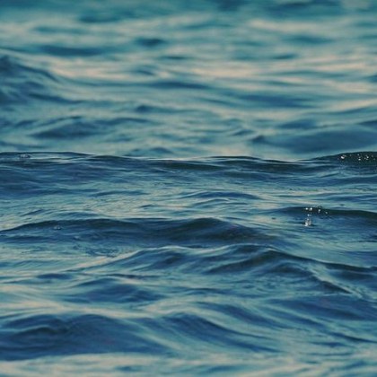 Морската вода във Варненския регион e с отлично качество като