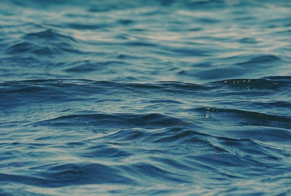 РЗИ разкри какво е качеството на морската вода край Варна
