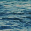 РЗИ разкри какво е качеството на морската вода край Варна