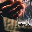 Нова дрога и опиати залива Европа