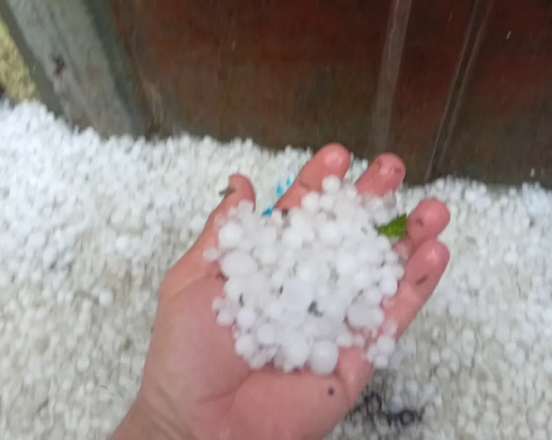 Градушка удари Софийско* СНИМКИ