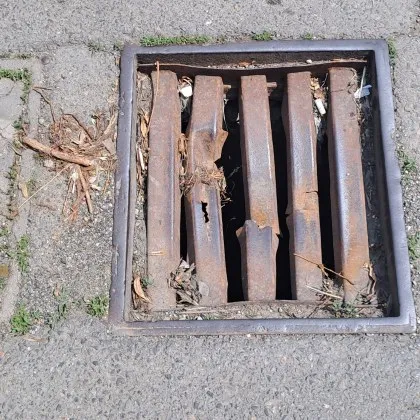 Няма нищо по устойчиво от… бездействието на общината Особено ако става