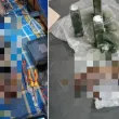Експлозиви в животински трупове – нова тактика на Русия във войната