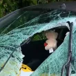 В болница е шофьорът, пострадал след падане на камък върху колата му