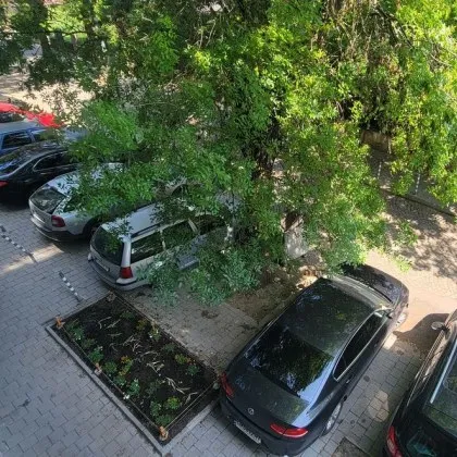 Често тротоарите из София са очукани и сиви а зелените