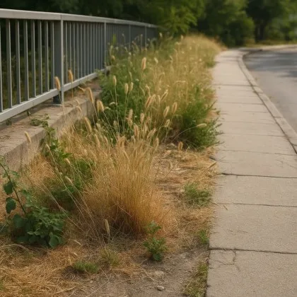 Сливен – града на ветровете на кълбовидните бурени и на